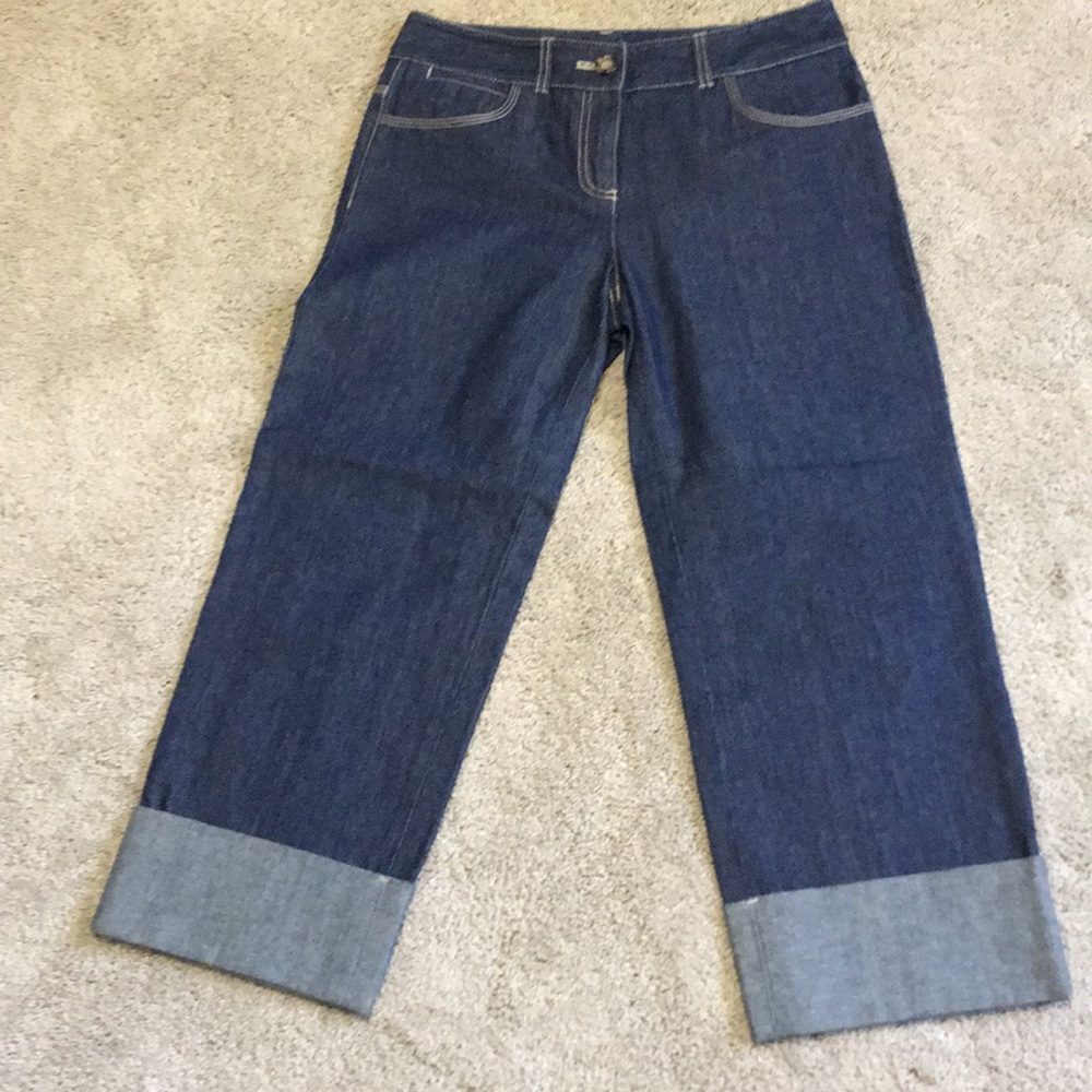 Ann taylor woman capri